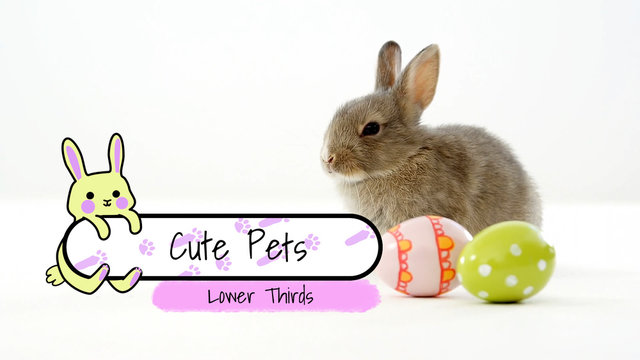 Cute Pets Lower Thirds