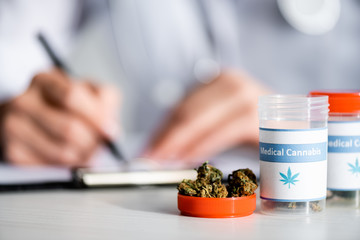 selective focus of dried weed and bottles with medical cannabis lettering near doctor writing prescription - obrazy, fototapety, plakaty