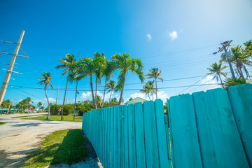 Fototapeta na wymiar Wooden fence and palm trees in Florida Keys