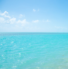 Obraz premium Turquoise sea and blue sky in Florida Keys shore