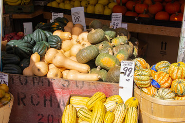 Squash for sale in a market