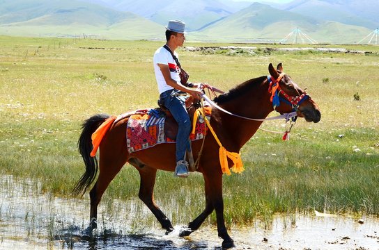 Side View Of Young Man Riding Horse On Grassy Field