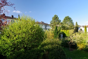 Gartenlandschaft