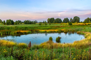 Natural landscape with swamp, grass, trees in the evening in the sunset light in a summer, spring time.