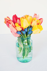 Bouquet of multi-colored tulips and muscars flowers blue grape hyacinth in glass jar, isolated on white background