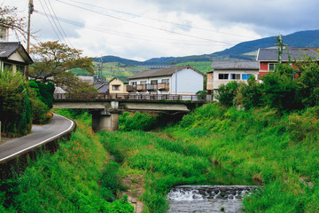 Fototapeta premium small road in village with green grass and flower