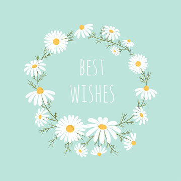 cute chamomile flowers frame isolated on blue background, best wishes