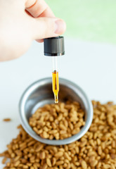 CBD and medical marijuana for pets, Food delicacy for dogs and cats, marijuana CBD oil