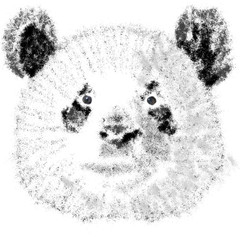 Hand art of the panda.
