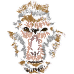Hand art of the monkey.
