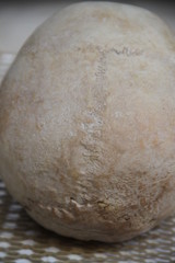 Human skull skeleton part for medicine education
