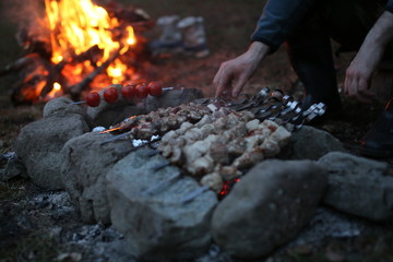 Barbecue on a bonfire coals fire at a campsite. Food smoked big company cooking in the camp. Picnic...