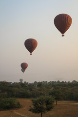 Obraz premium Hot air balloons at Bagan plain of temples