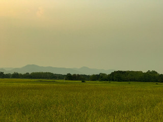 Beautiful sunset at the rice field with moutain background.