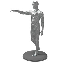 3d illustration of the muscle man anatomy
