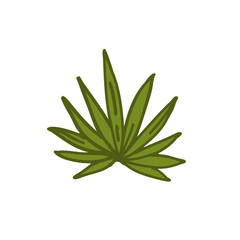 agave doodle icon