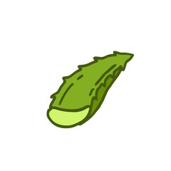 aloe vera doodle icon