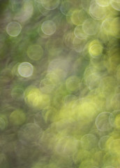 pastel green, gray, brown bright circles, abstract bokeh background