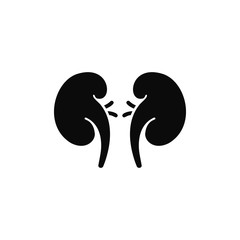 Kidney icon flat vector design