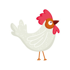 poultry rooster cartoon farm animal isolated icon on white background