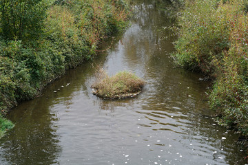 stream in the forest