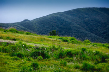 Fototapeta na wymiar Beautiful green grass hill near Aso volcano Kumamoto Japan