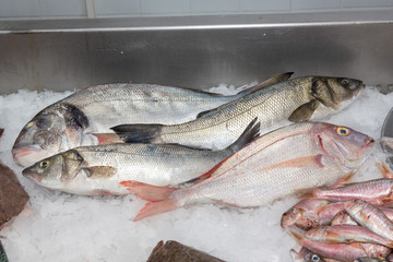 Fresh fish at a fishmonger