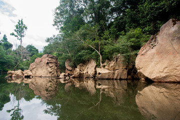 タイのジャングルと川：東南アジアの風景
