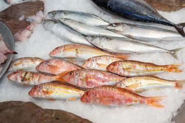 red mullet at a fishmonger
