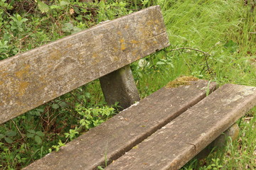 Fototapeta premium Die Bank am See