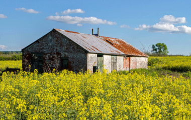 Naklejka na ściany i meble old barn in the field