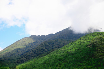 Green grass mountain and brigth blue sky are beautiful