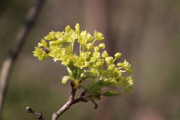 Frühlingsgefühle