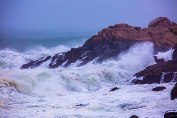 Ocean Waves