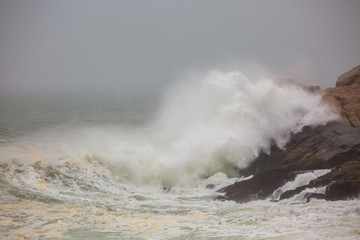 Ocean Waves