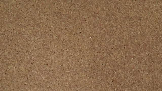 Empty stable cork board