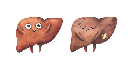Liver. Healthy and diseased organs. Watercolor illustration in children's style. Characters isolated on a white background. Brown. Cartoon anatomy.