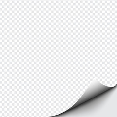 Curled corner of paper on transparent background with soft shadows, realistic paper page mock up.