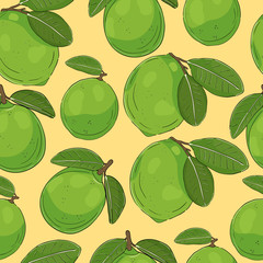 Lime fruit vector orange