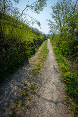 Road in springtime in a countryside