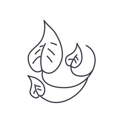 leaves nature icon, line style