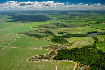 Agriculture, sugar cane cultivation and remnants of Atlantic forest in Goiana city, near Recife,...