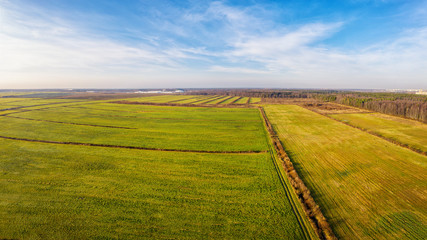 Green fields at sunny day aerial panoramic view