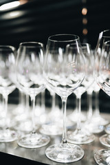 many clean wineglasses in bar, professional equipment 