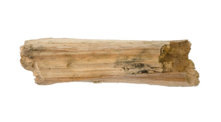 Wooden splinter or piece of bark isolated on white background. Item for mock up, scene creator and...