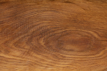 Brown oak wooden texture background, close up. Macro  texture of oak layers