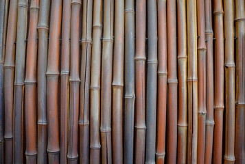 Naklejka premium Bamboo Textured Background