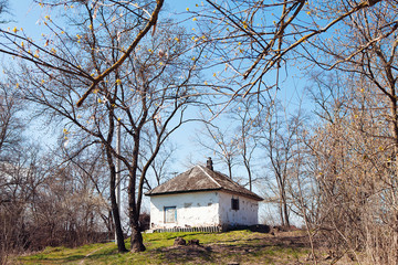Fototapeta premium Old rural house on hill among spring trees