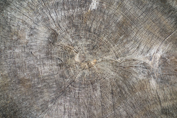 Old wood vintage textured background