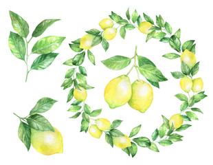 Watercolor illustration with lemons and leaves. Wreath frame